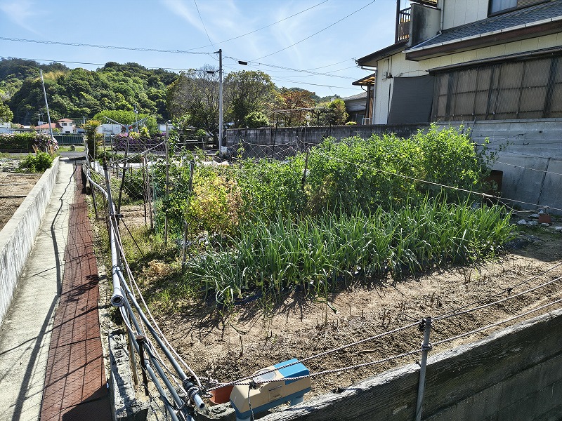  生名島