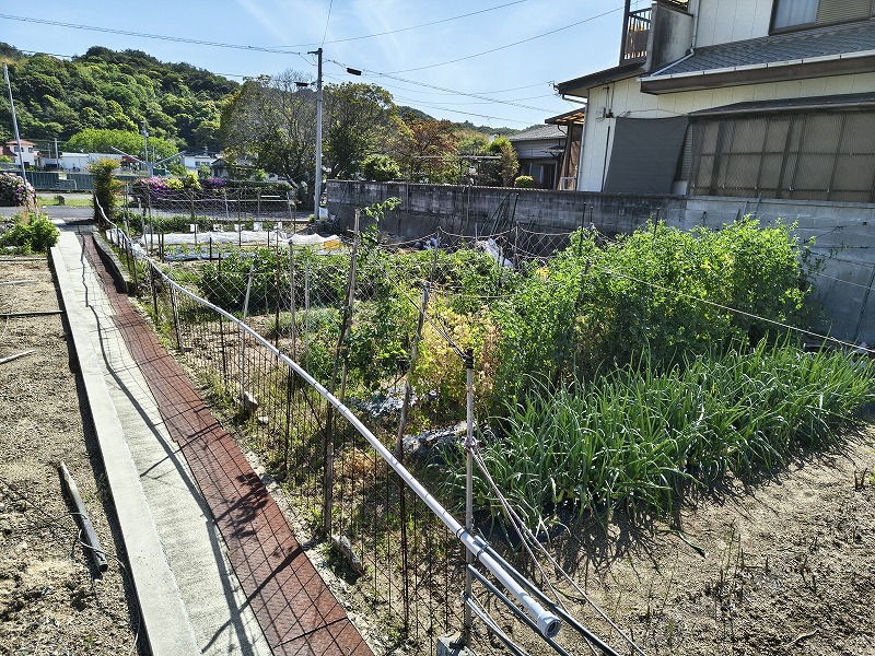  生名島